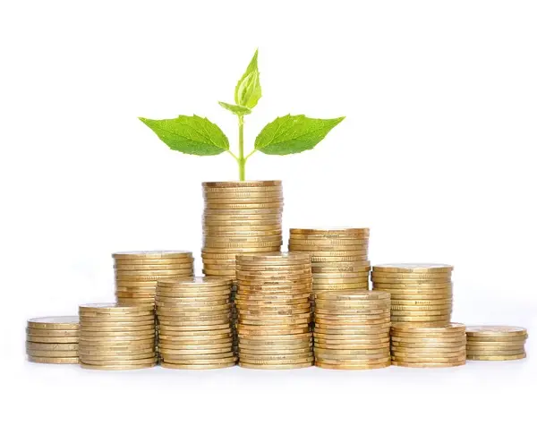 Growing money tree